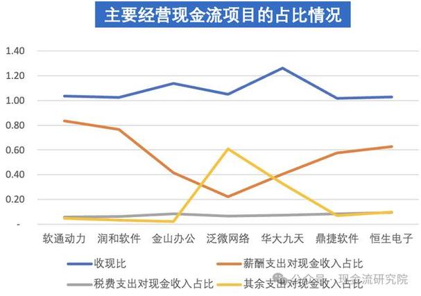 软件信息技术服务业现金流特征与案例分析