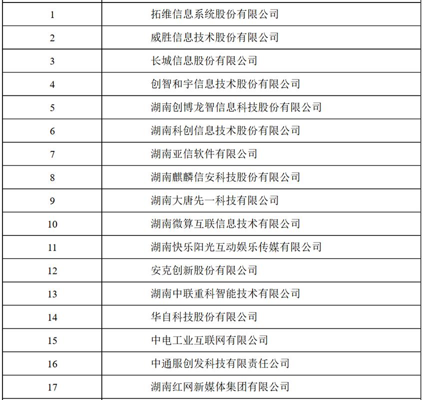 2021年湖南省软件和信息技术服务业企业50强名单正式出炉